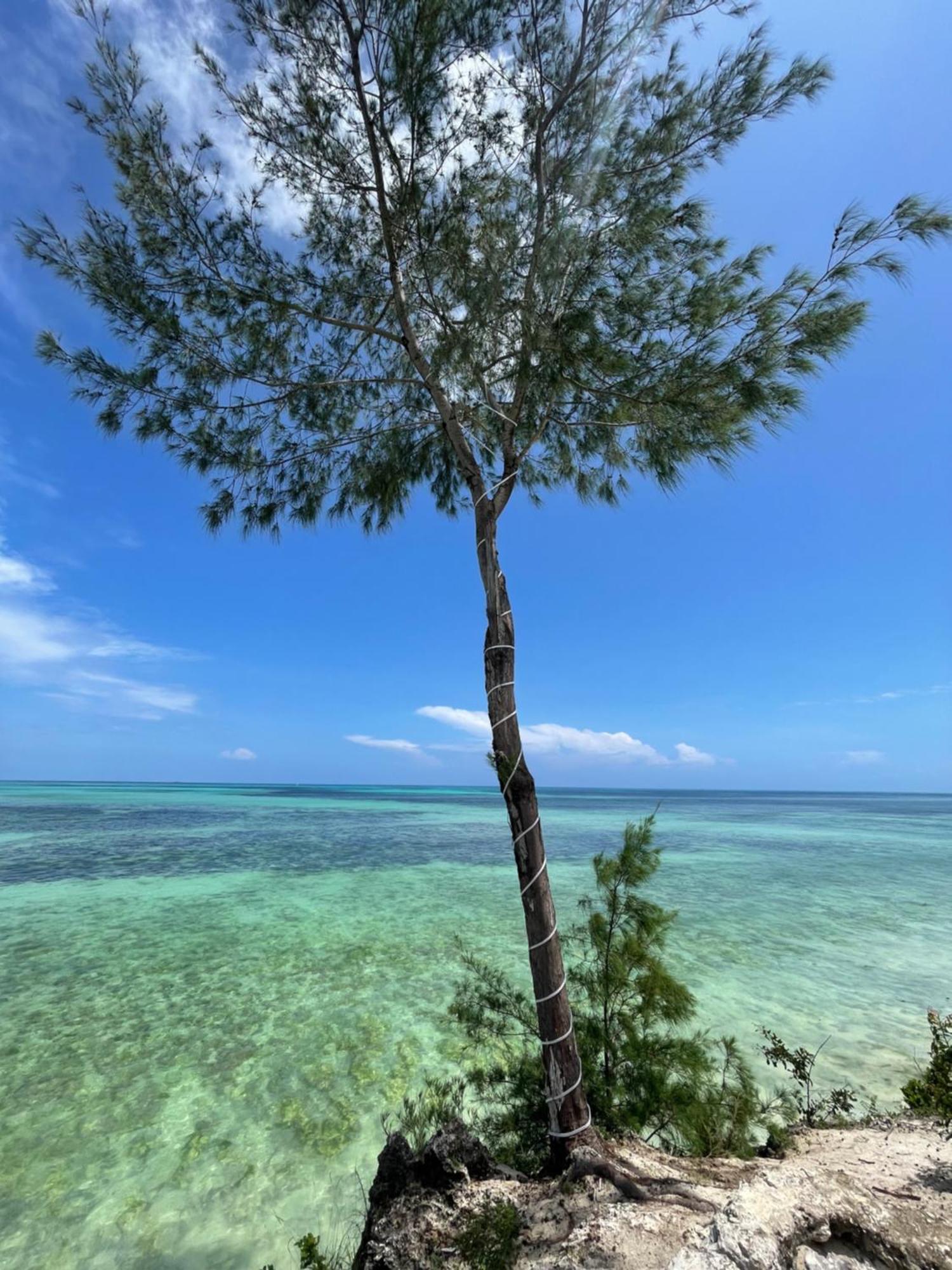 White Star Ocean View Hotel Paje Buitenkant foto
